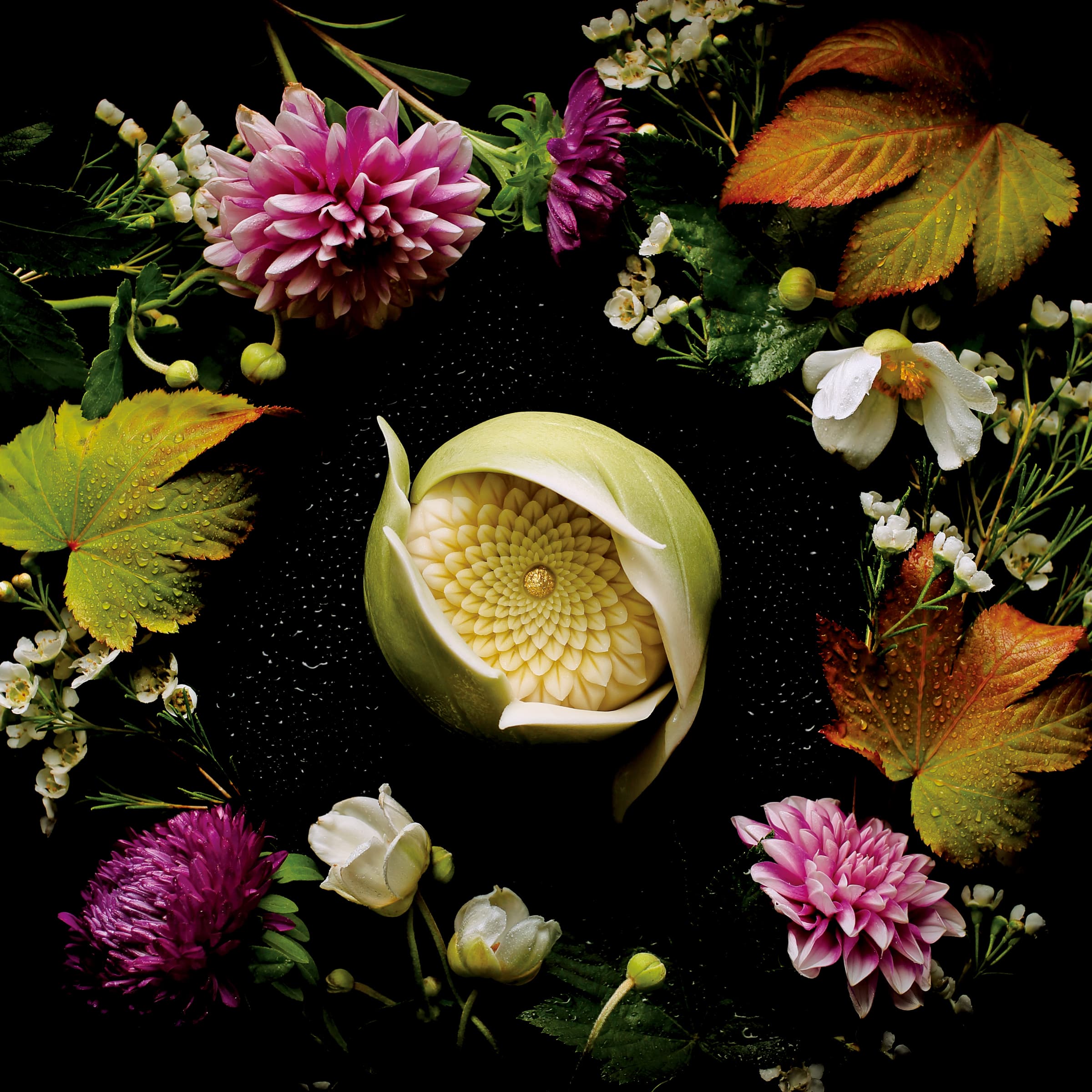 菓銘「葉隱菊（Peeping Chrysanthemum）」。華麗的菓子，名稱讓人聯想到武士精神。