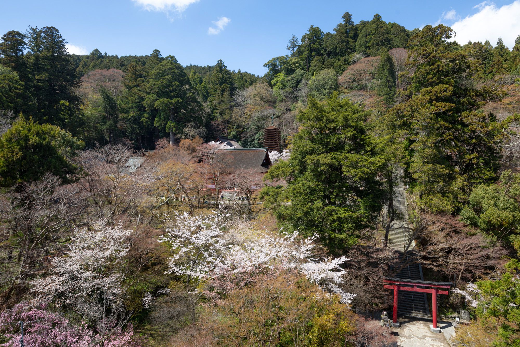 谷の向かい側から見た談山神社。鳥居と塔が同居している景色は、神仏習合の姿を残している。