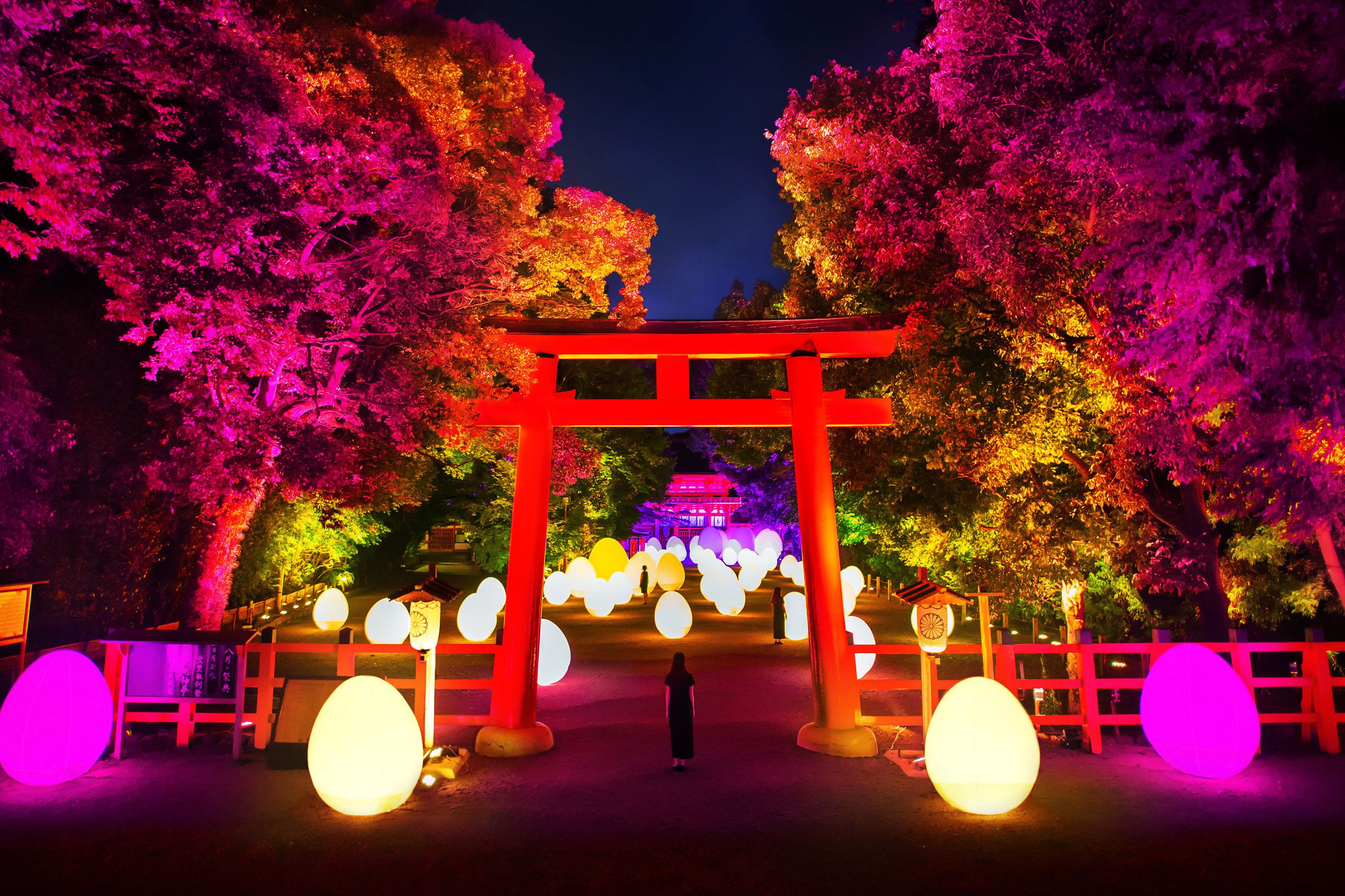 下鴨神社では、糺の森の参道、楼門内を舞台に光のインスタレーション作品を展示。