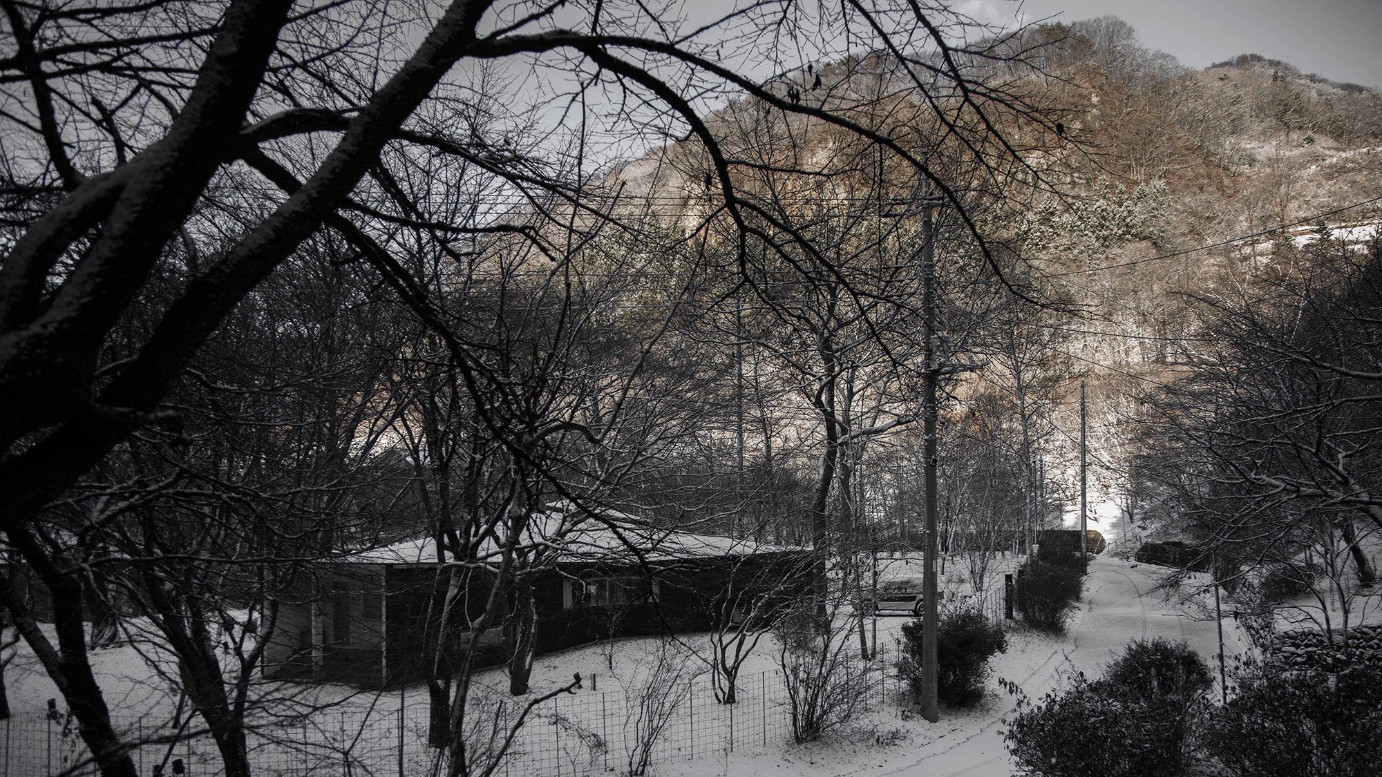 周辺を雪に覆われた自邸の全景。人が少なくて静かな冬の軽井沢が好きだ。