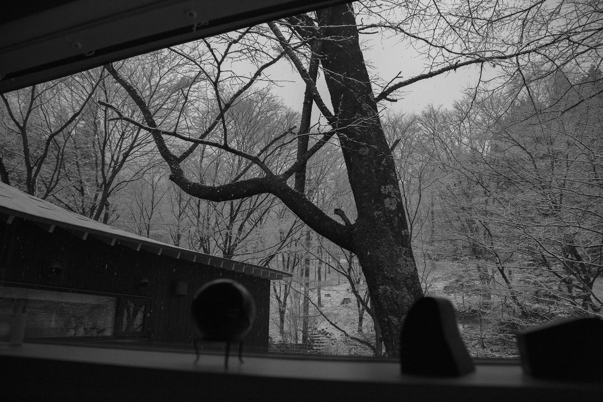 横に細長く切り取られた窓からは広がる自然と空が伺えて、静寂が自邸を包んでいく。