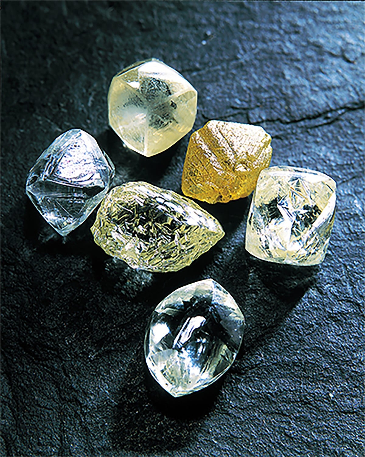 平時難得一見的原鑽。即使未經切割、研磨，鑽石原石的光輝依然美麗動人。