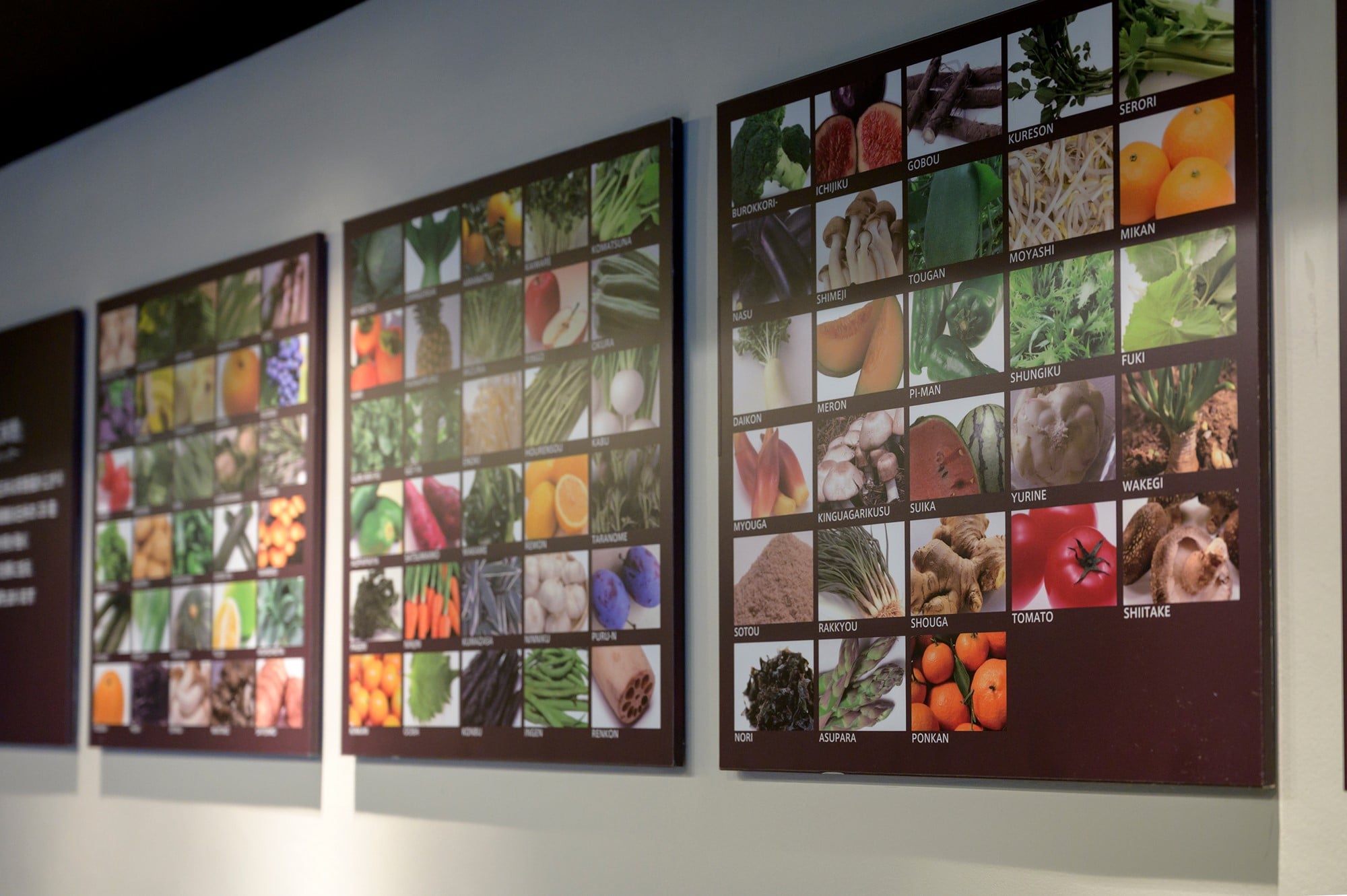 壁面にはさまざまなメニューに使われている70種類以上の野菜や果物をパネルで展示。