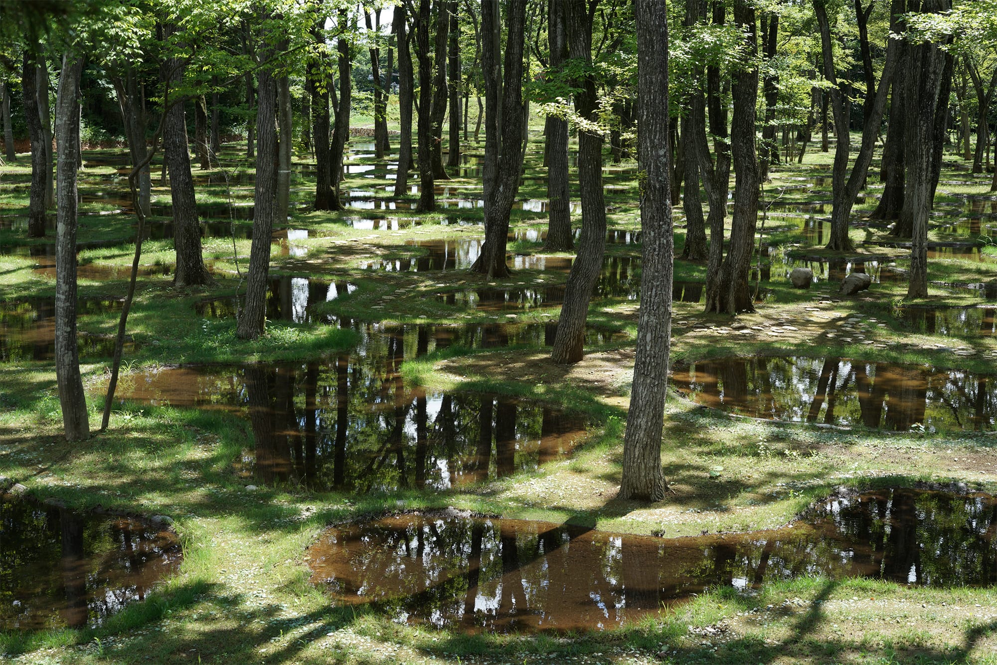 アートビオトープ那須にある「水庭」。木々のすき間から空が浮かび、水には木漏れ日が注ぐ。