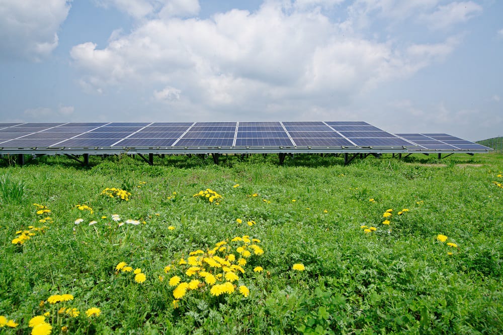 熊本県には、自然電力グループが手掛けた多くの太陽光発電所がある。