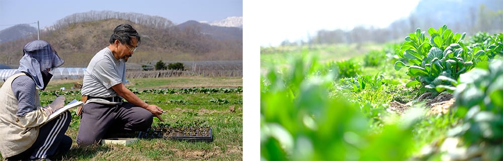 左：まほろばの創業者でもある夫、宮下周平とともに「0-1テスト」で肥料設計。右：露地栽培で越冬して芽吹いた小松菜の菜花。