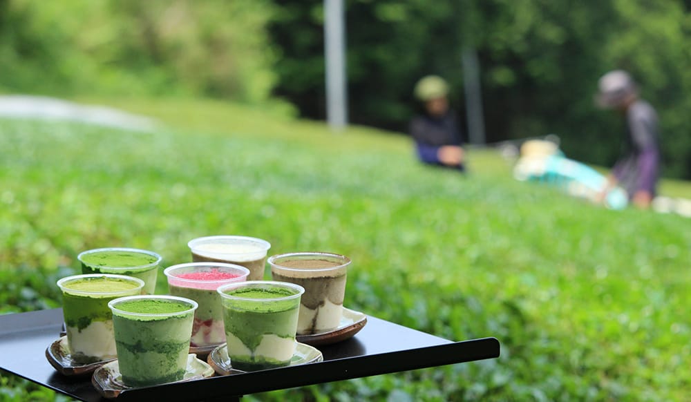 風味豊かな宇治茶の魅力を味わう宇治茶ティラミスのセットは、4個セットと8個セットがある。