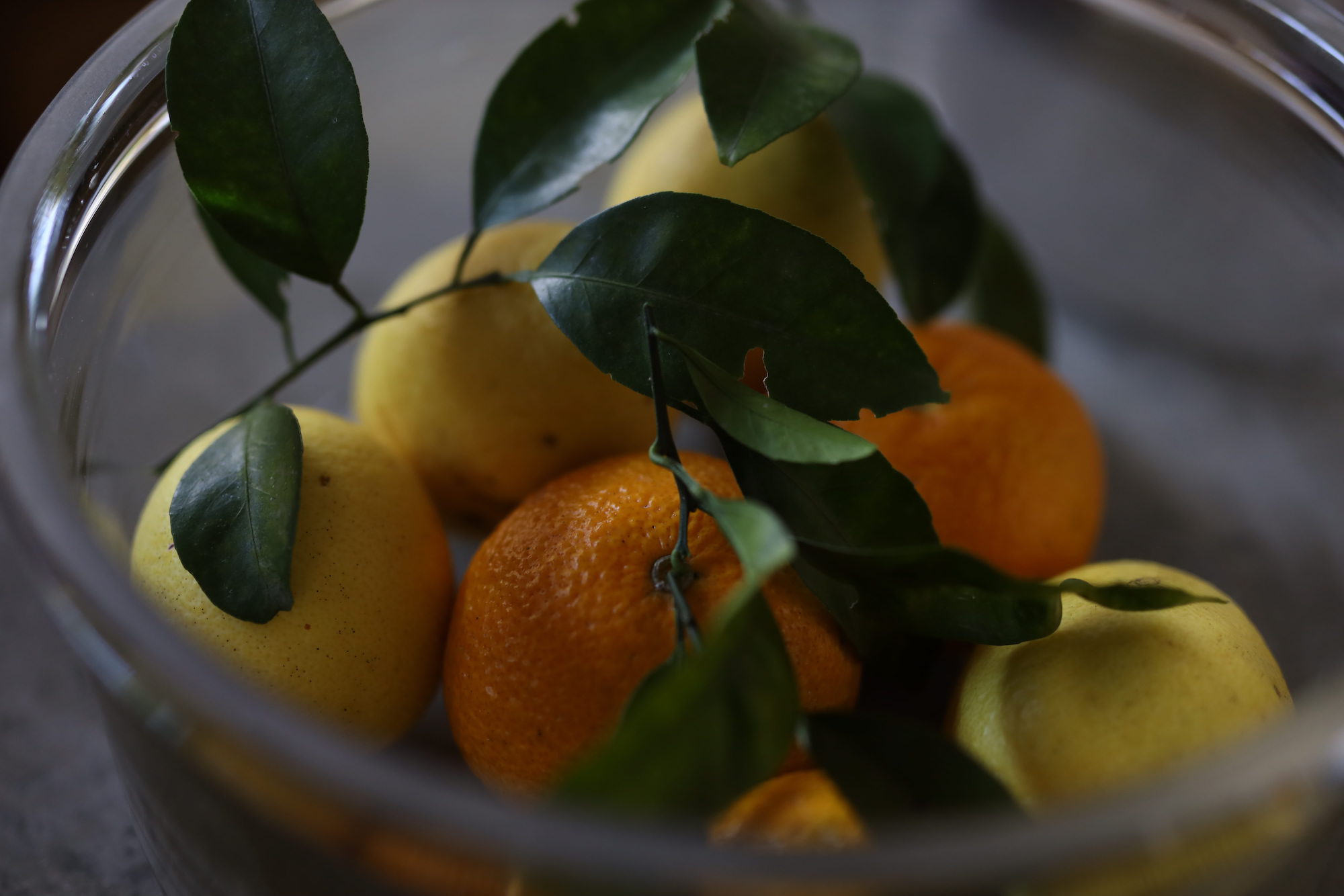 ジュースに使われている三種の柑橘。