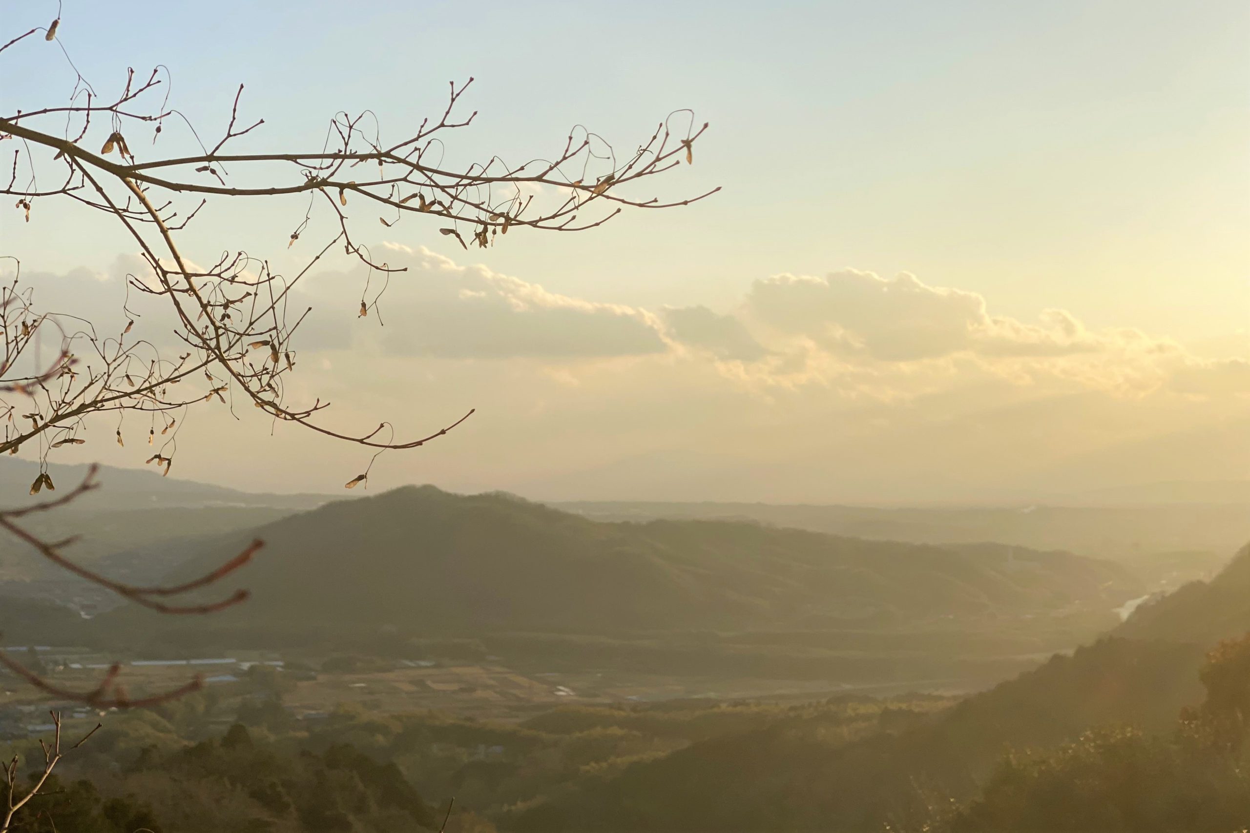從正殿裏面向外遠眺。木津川對面的延綿山群在冬日陽光的映射下顯得十分清晰。