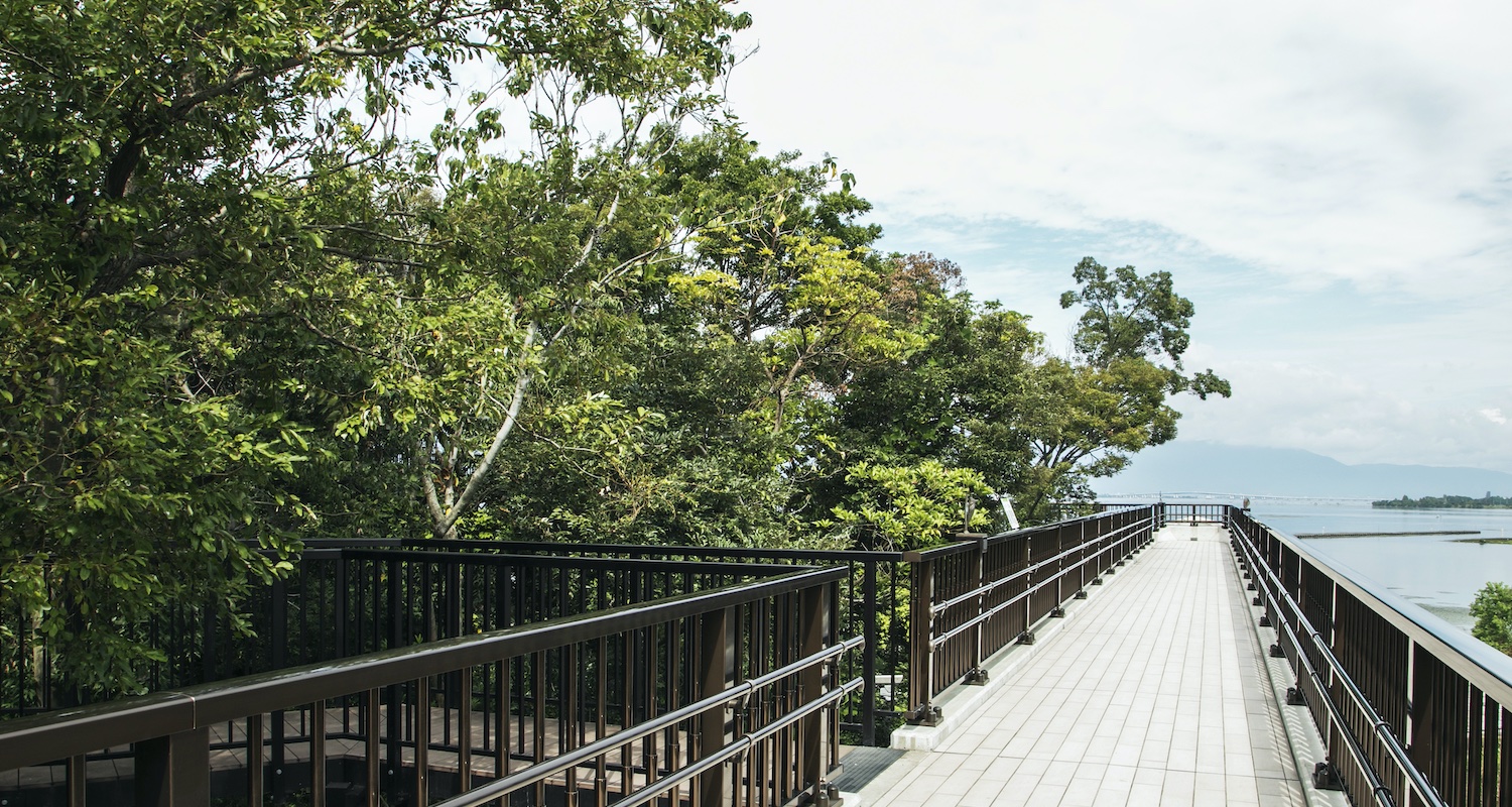 琵琶湖　樹冠トレイル