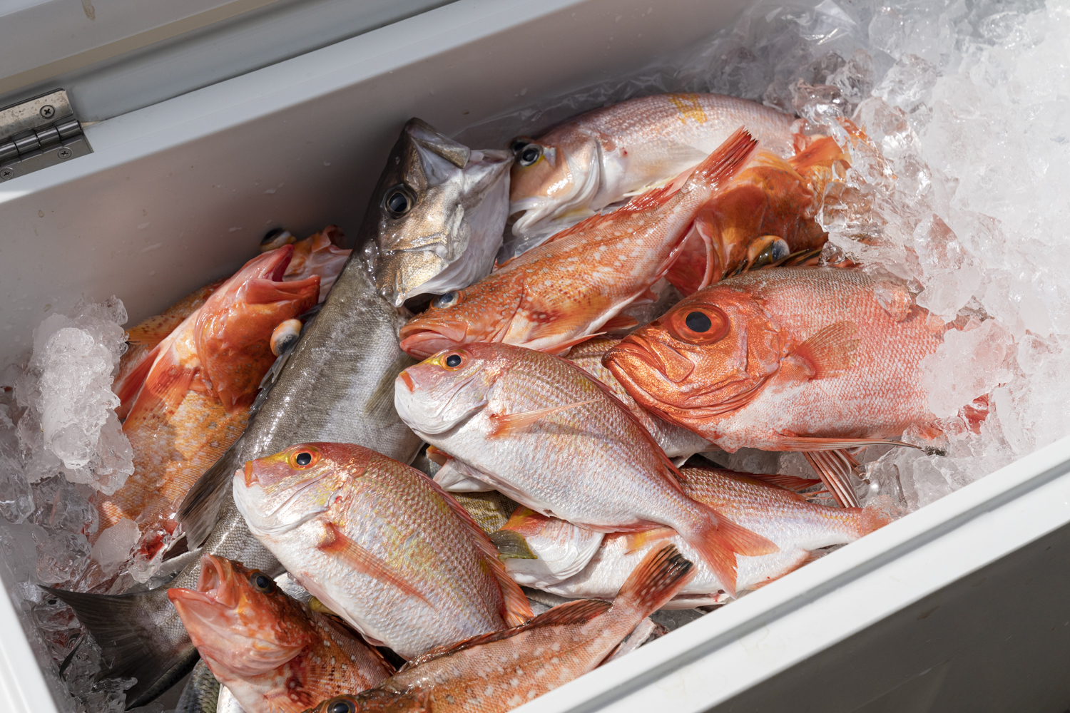 1日１組限定の宿「鍵屋」。伊根湾で採れた旬の魚が味わえる。