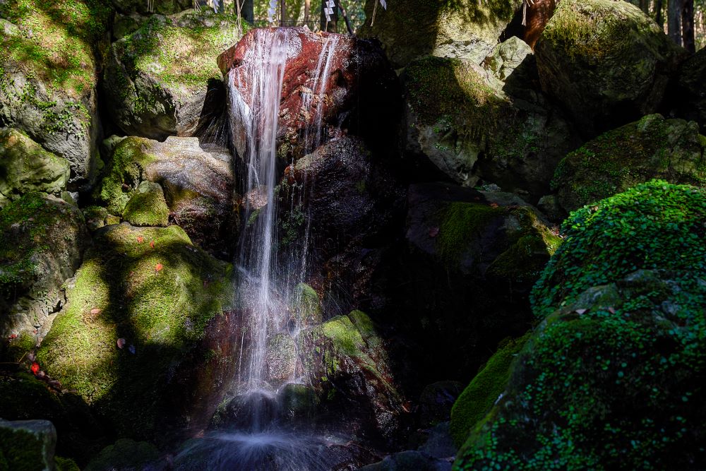 御神体山から湧き出る「眞名井の水」は、ミネラルバランスの よい中硬水で、その優れた成分は科学的にも証明されている。