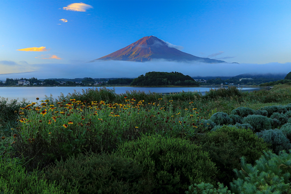 富士山と河口湖イメージ