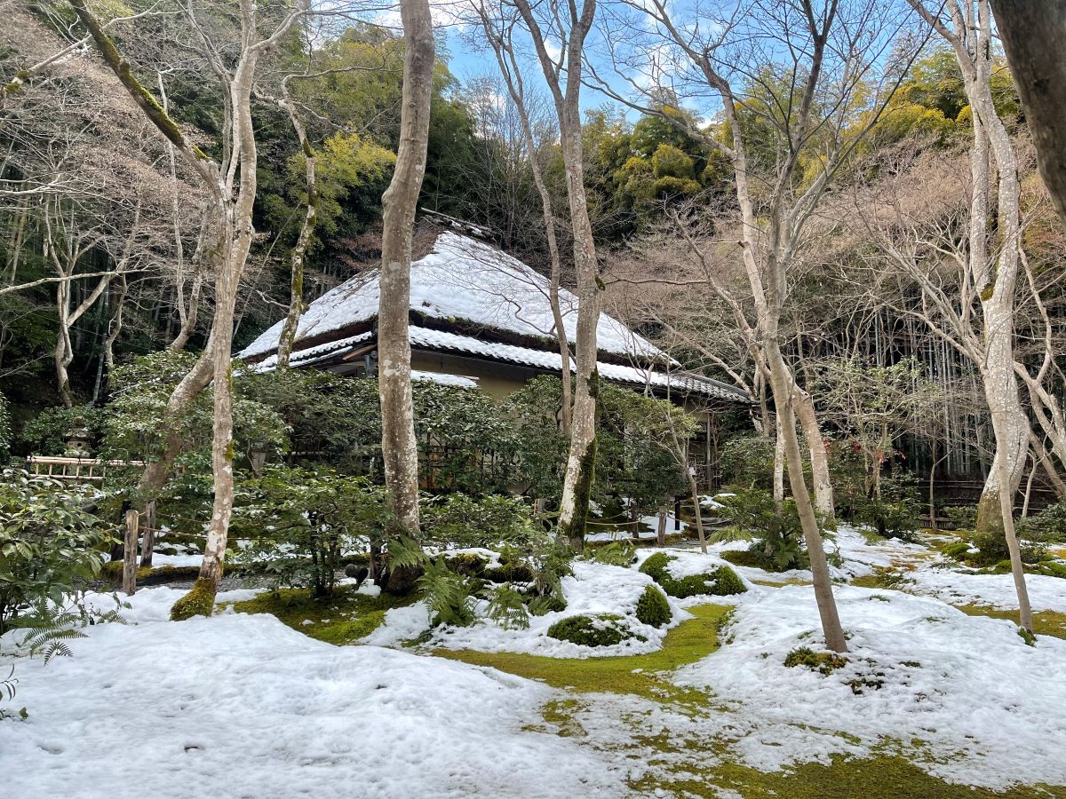 えもいわれぬ景色となった冬の「祇王寺」