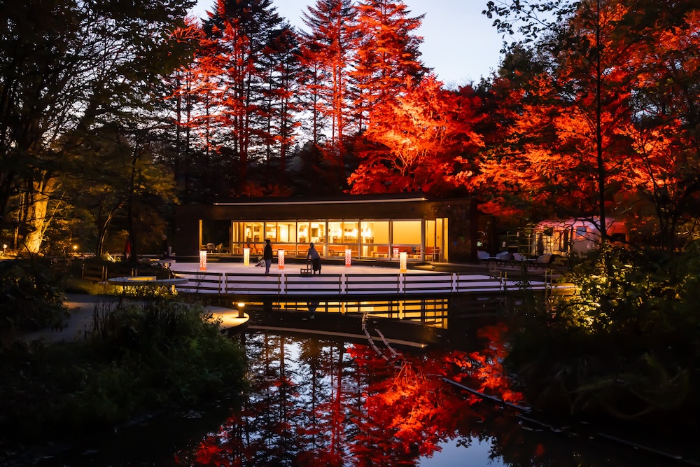 Image de « Momiji Light Link »