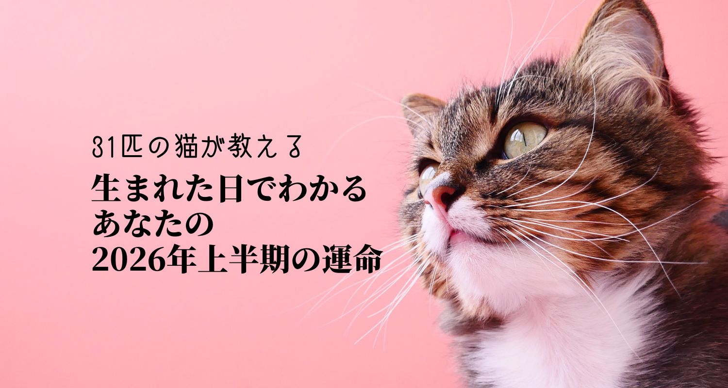 【生日运势】你的出生日期揭示了你2026年上半年的命运【31只猫告诉你】