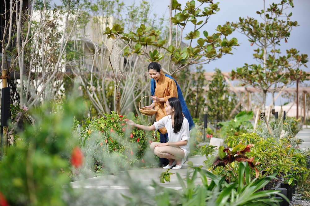 星のや沖縄　吉祥若太陽滞在　吉祥庭めぐり