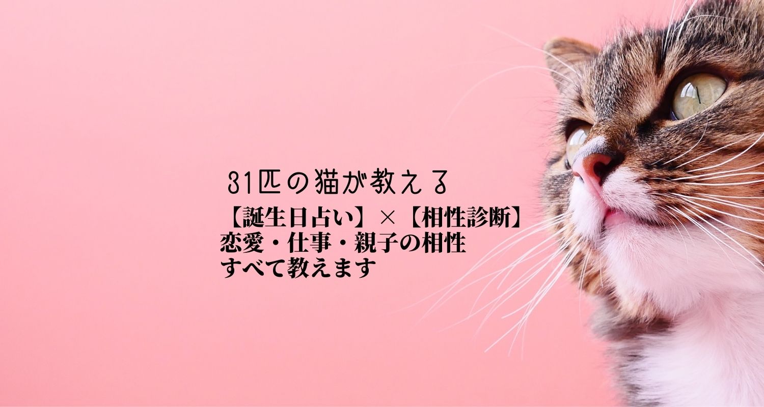 【誕生日占い】恋愛・仕事・親子の相性のすべて教えます【31匹の猫が教える】