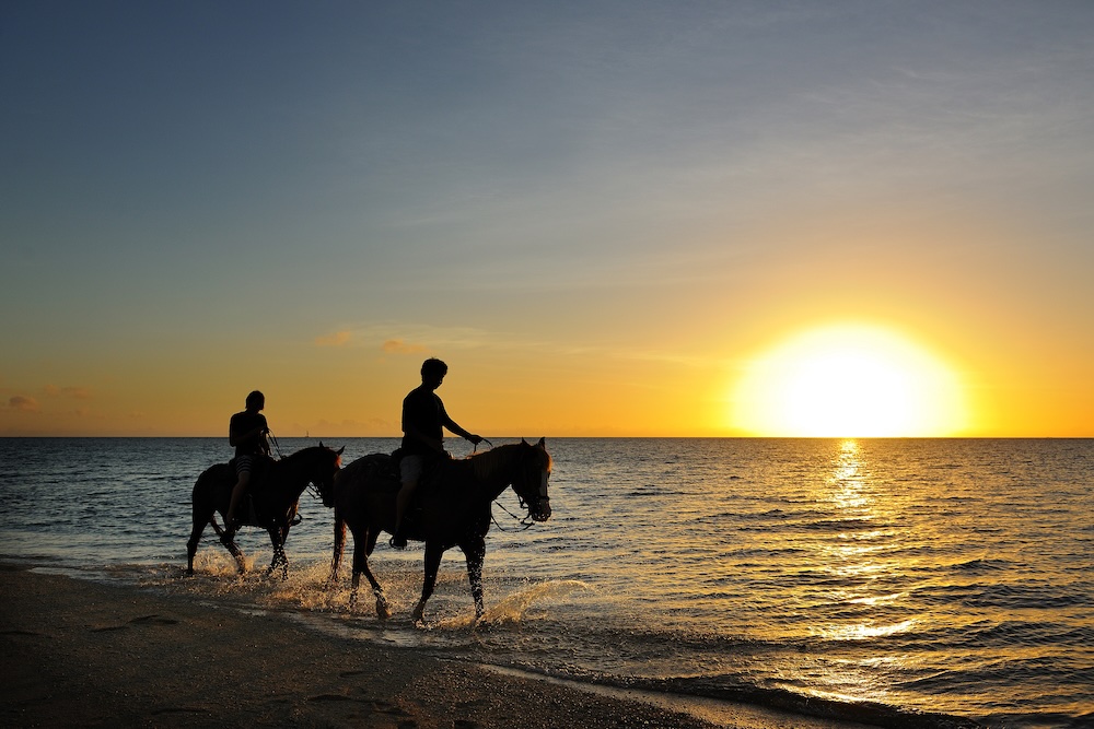 夕日とともに海辺で乗馬体験