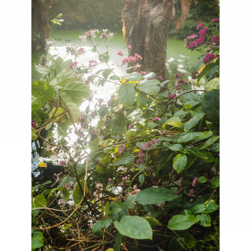 THREE　THE ROOM OF (IN) SCENTS　日中のイメージ