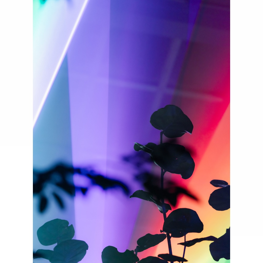 THREE　THE ROOM OF (IN) SCENTS　夜のイメージ