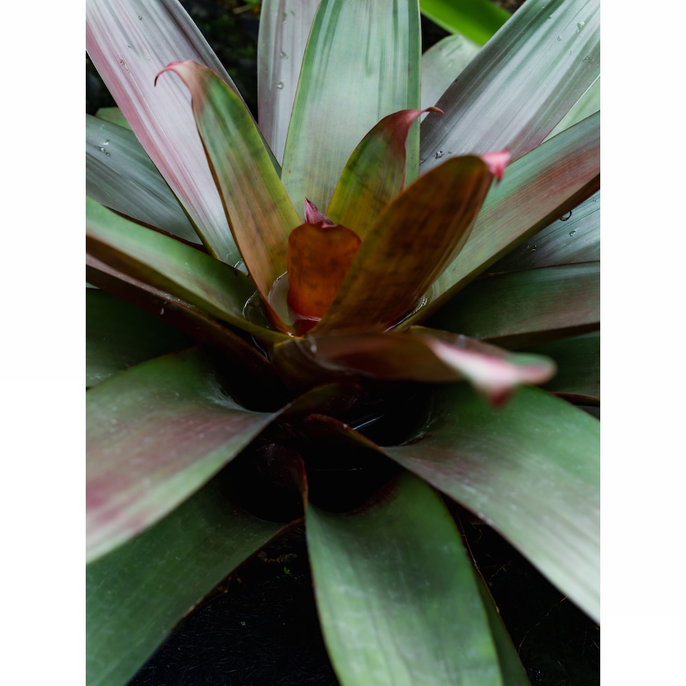 THREE　THE ROOM OF (IN) SCENTS　日中のイメージ