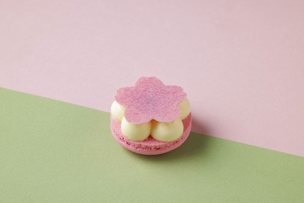 桜マカロン