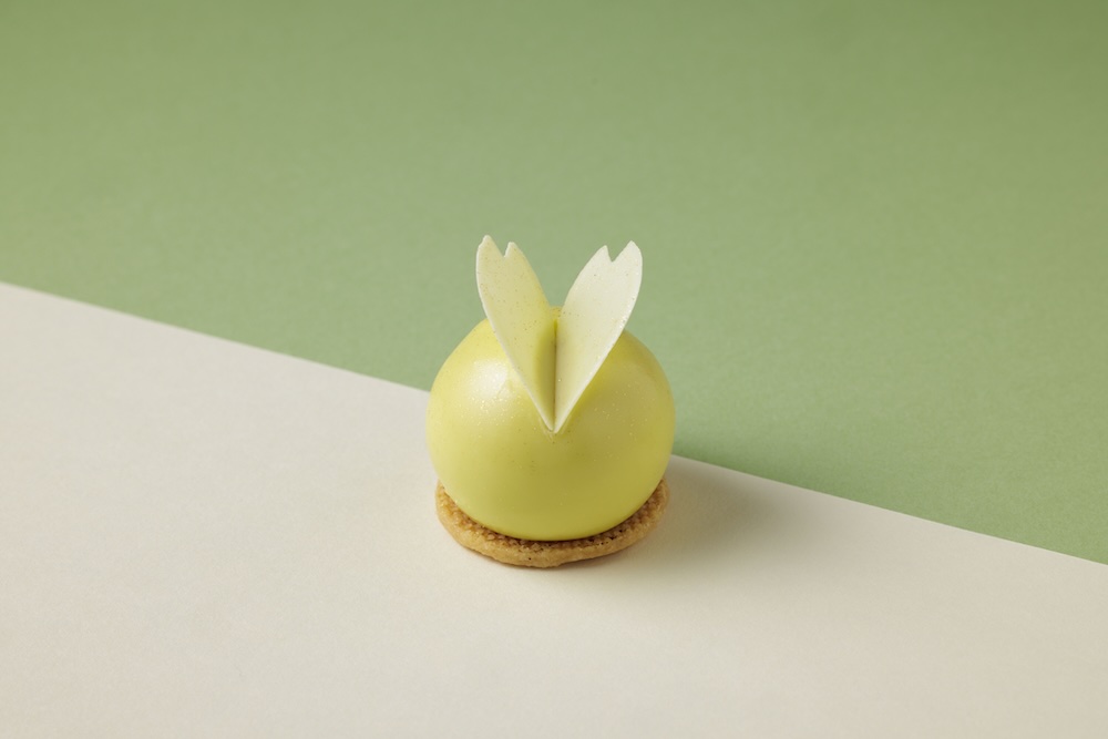 抹茶ムース 桜 ストロベリー