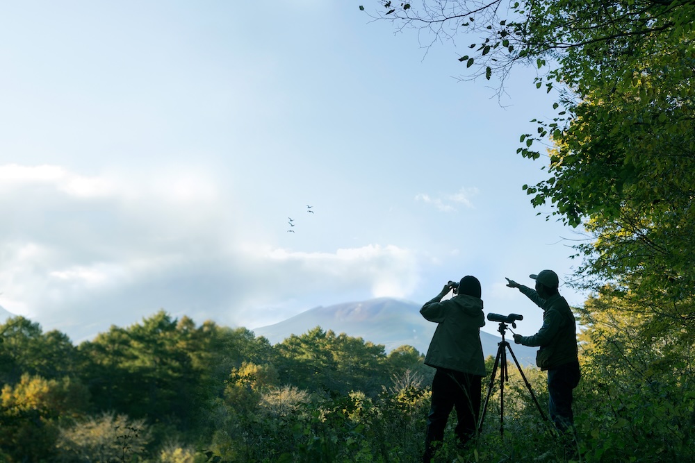 国設「軽井沢野鳥の森」でのバードウォッチング