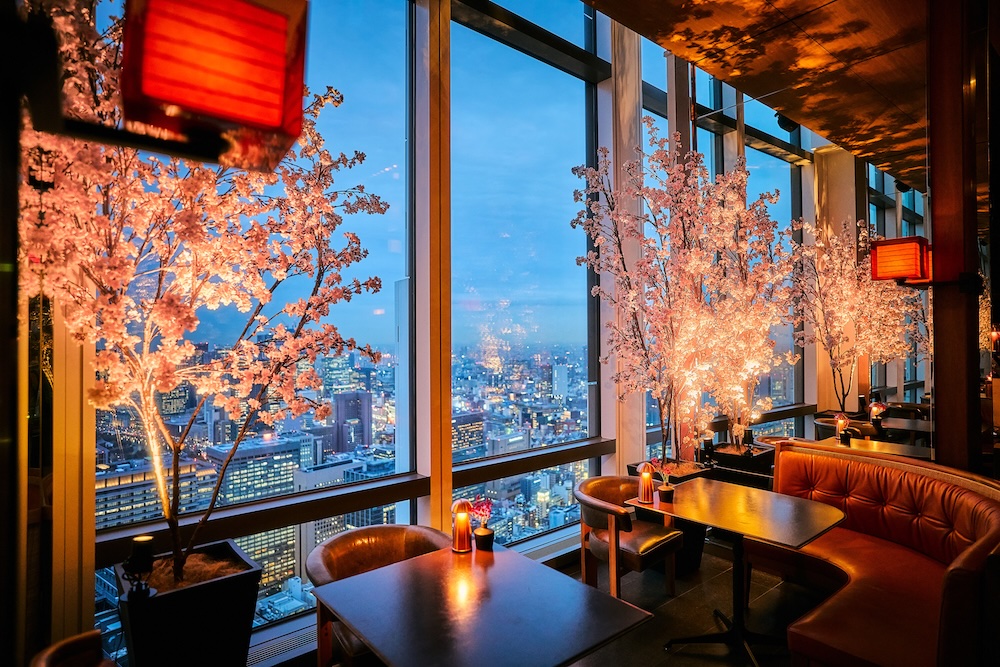 ザ タヴァン グリル＆ラウンジ　桜シーズン店内イメージ