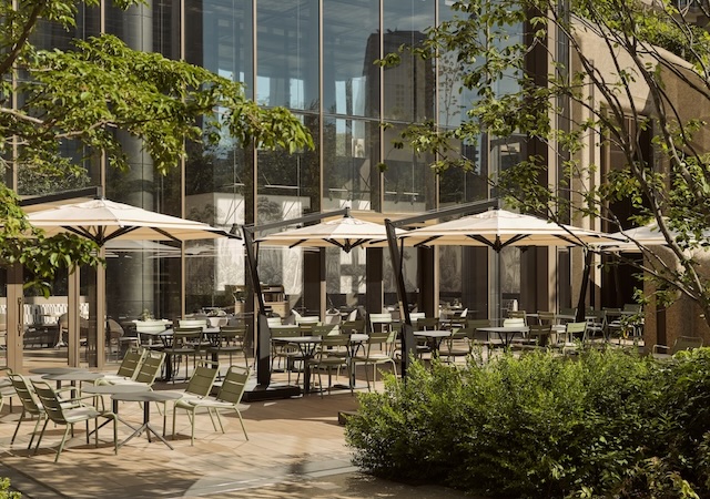 春におすすめのピクニックプラン