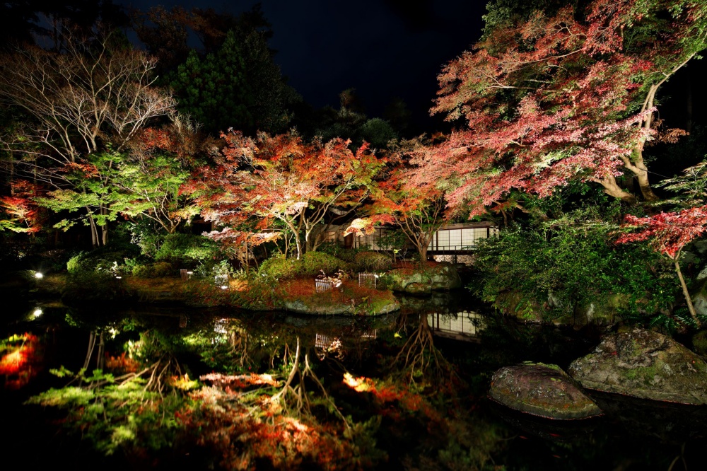 ザ・プリンス 京都宝ヶ池 夜の日本庭園