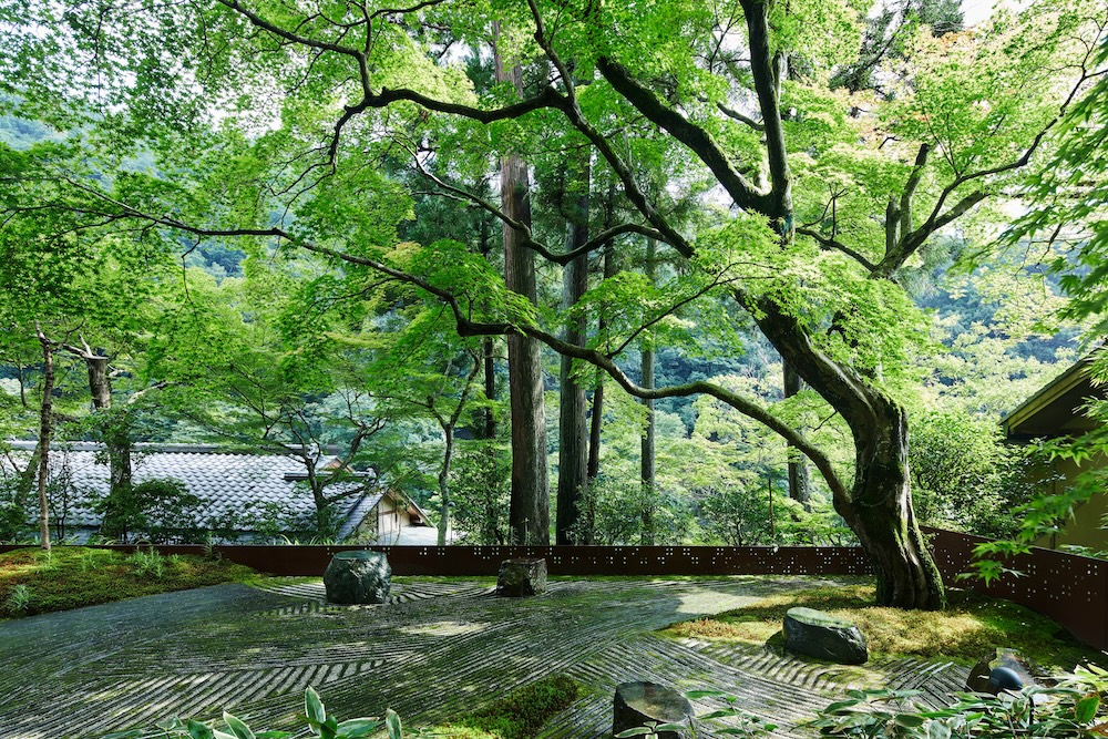 星のや京都　奥の庭