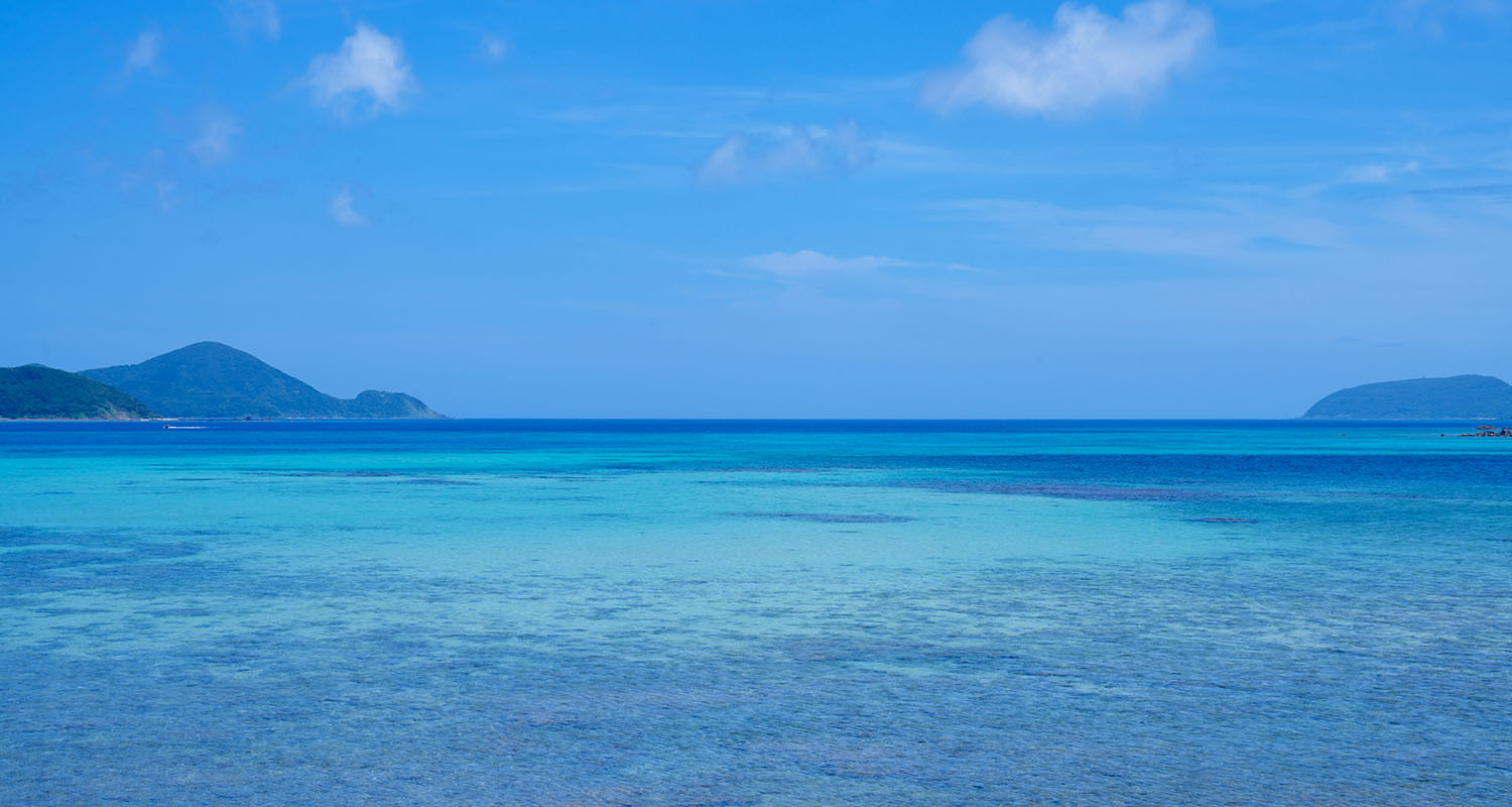 奄美大島