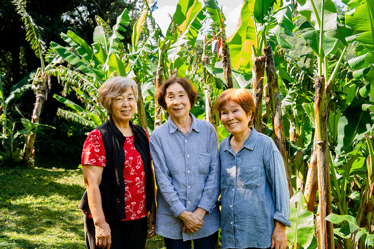 喜如嘉の芭蕉布